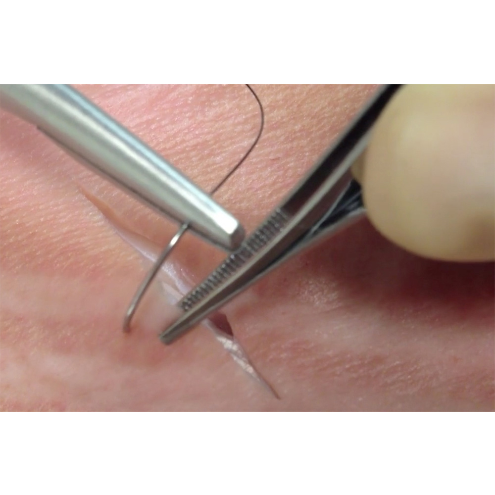 GDC Tissue Forceps Adson Serrated (12cm) (Tp41)