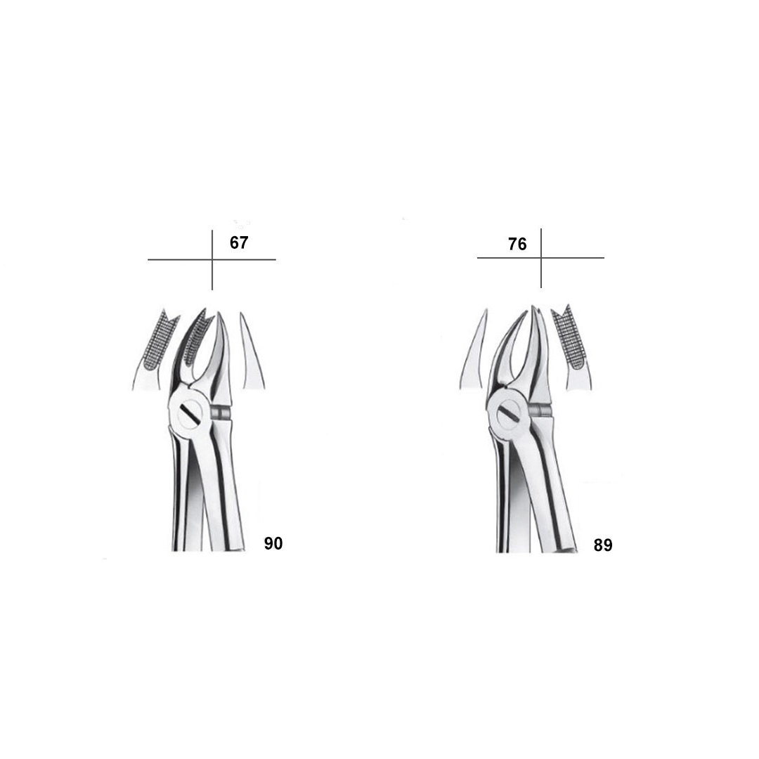 Waldent Tooth Extraction Forceps