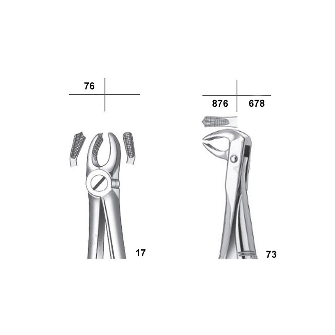 Waldent Tooth Extraction Forceps