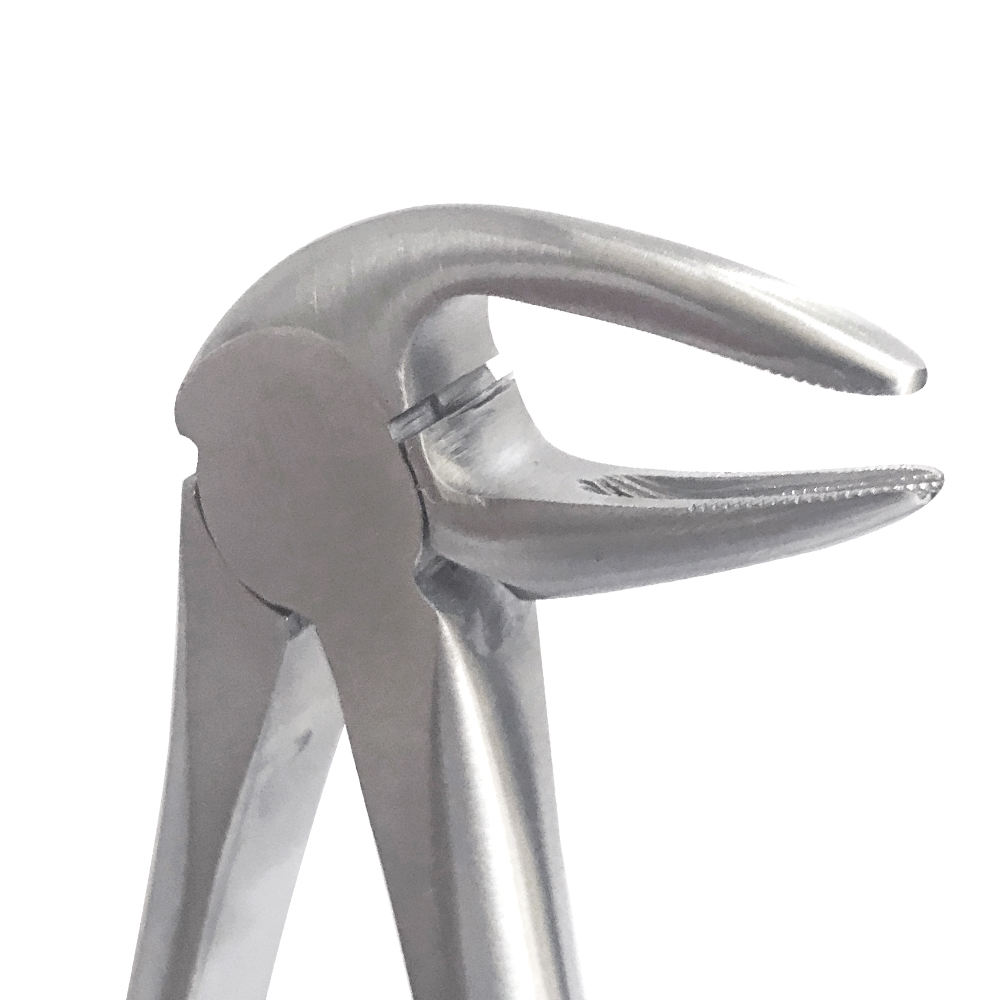 Waldent Tooth Extraction Forceps Lower Roots No.33L (1/125)