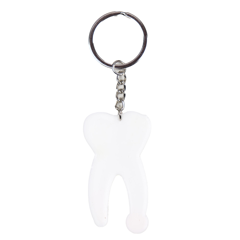 iDENTical Tooth Anatomy Key Chain (3006)
