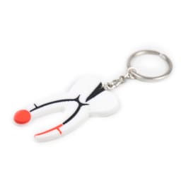 iDENTical Tooth Anatomy Key Chain (3006) - 5