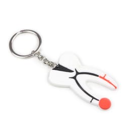iDENTical Tooth Anatomy Key Chain (3006) - 6