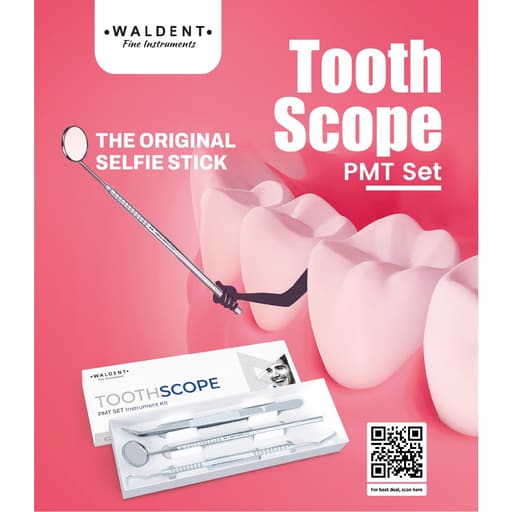 Waldent Pmt Set Instrument Kit (Single Ended) (K13/1)