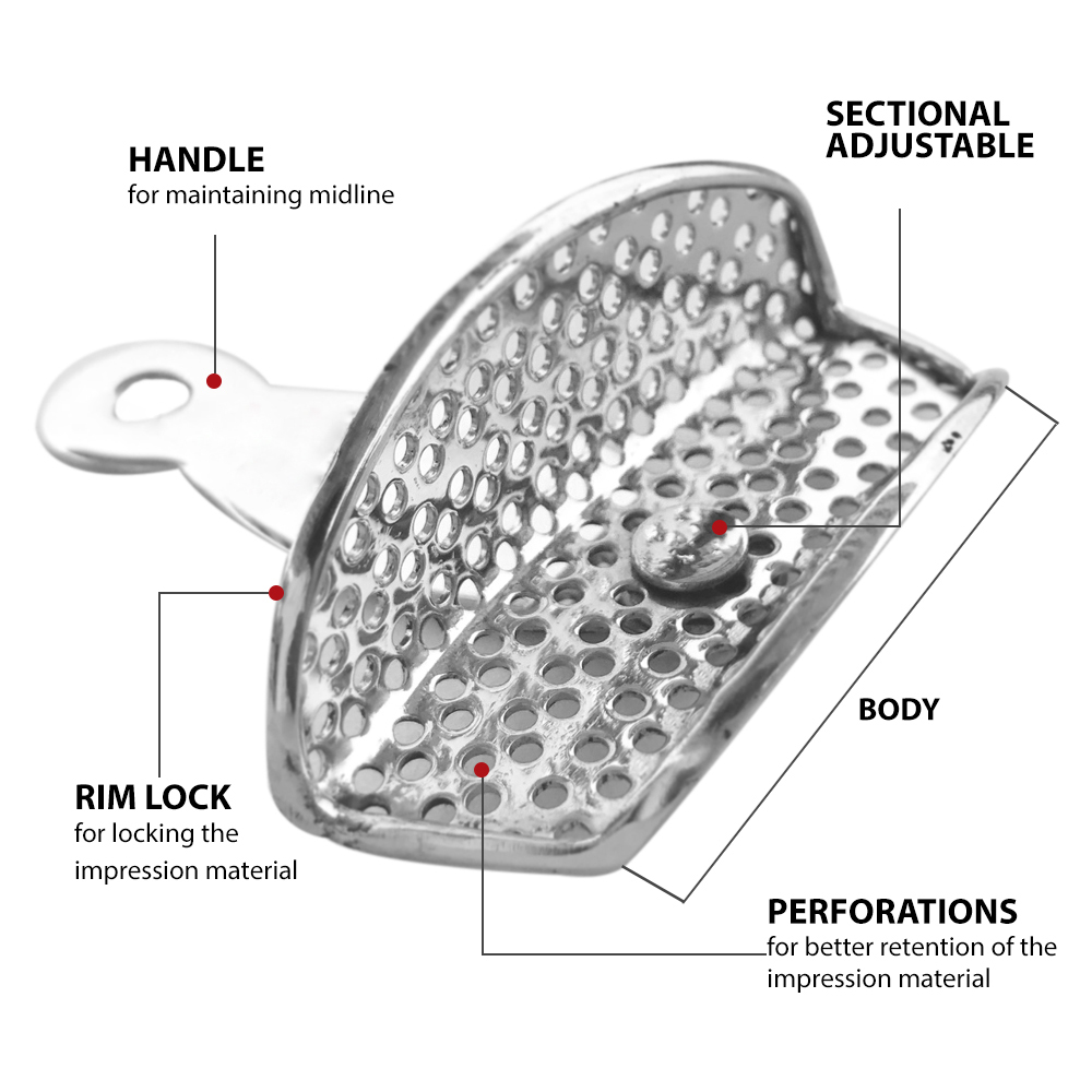 GDC Adjustable Dentulous Perforated (Itrldpa)