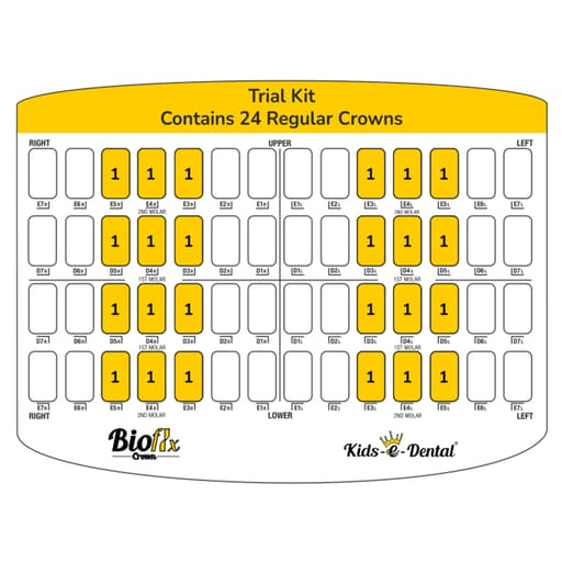 Kids-e-Dental Bioflx Posterior Crown Trial Kit (24 Crowns)