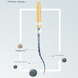 Endoking Blue Rotary Files - 6