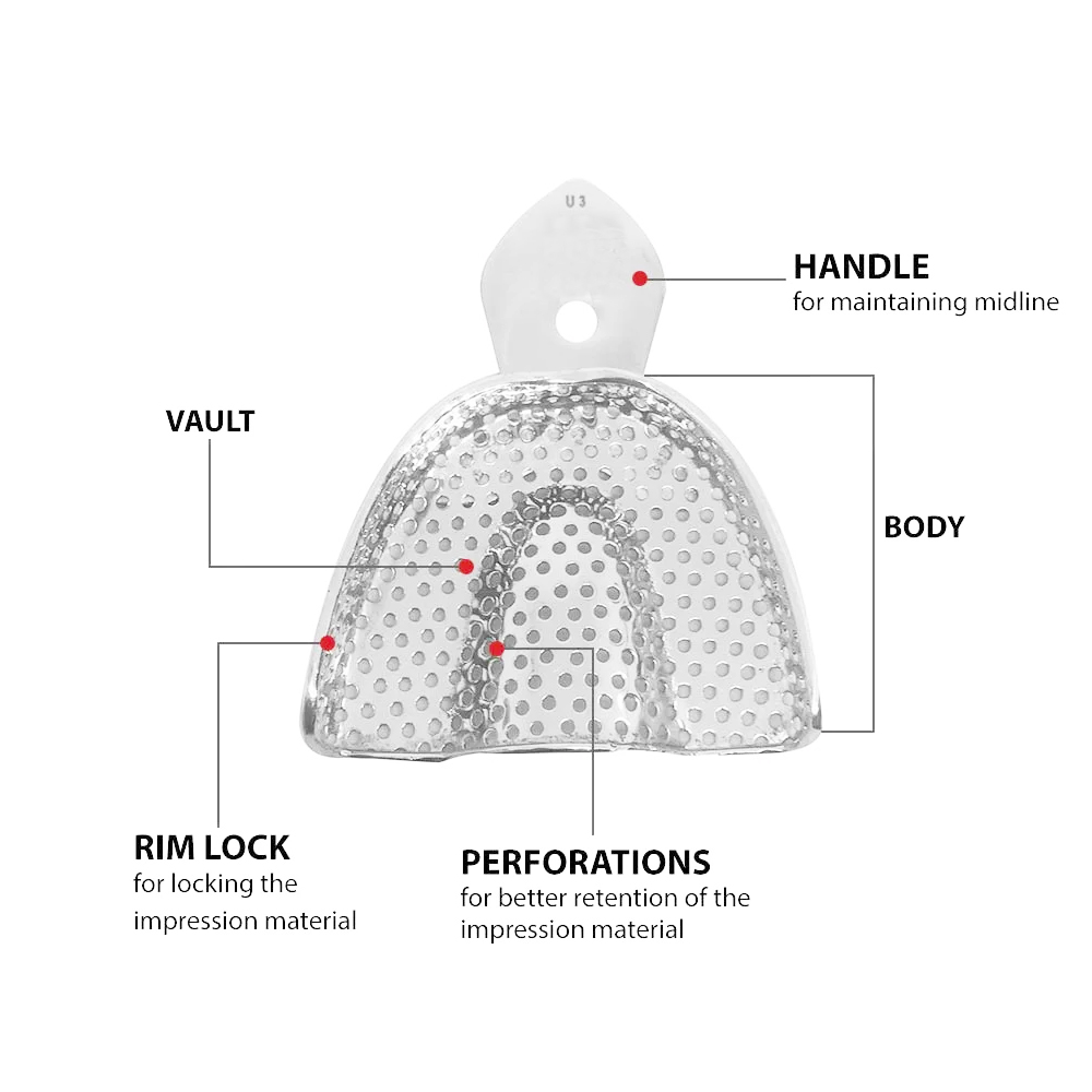 GDC Dentulous Perforated Impression Trays Upper # 3 (ITRLDPU3)