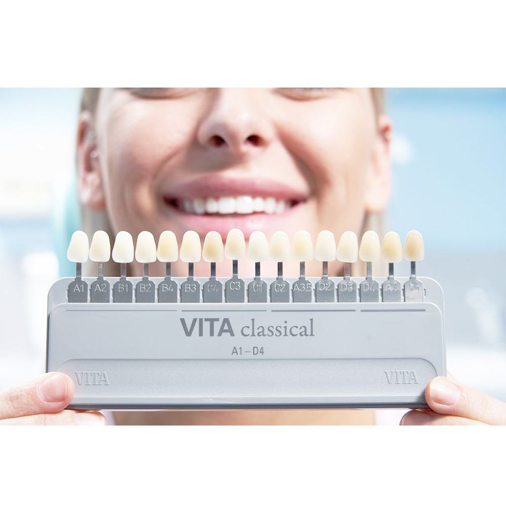 Vita Classical Shade Guide