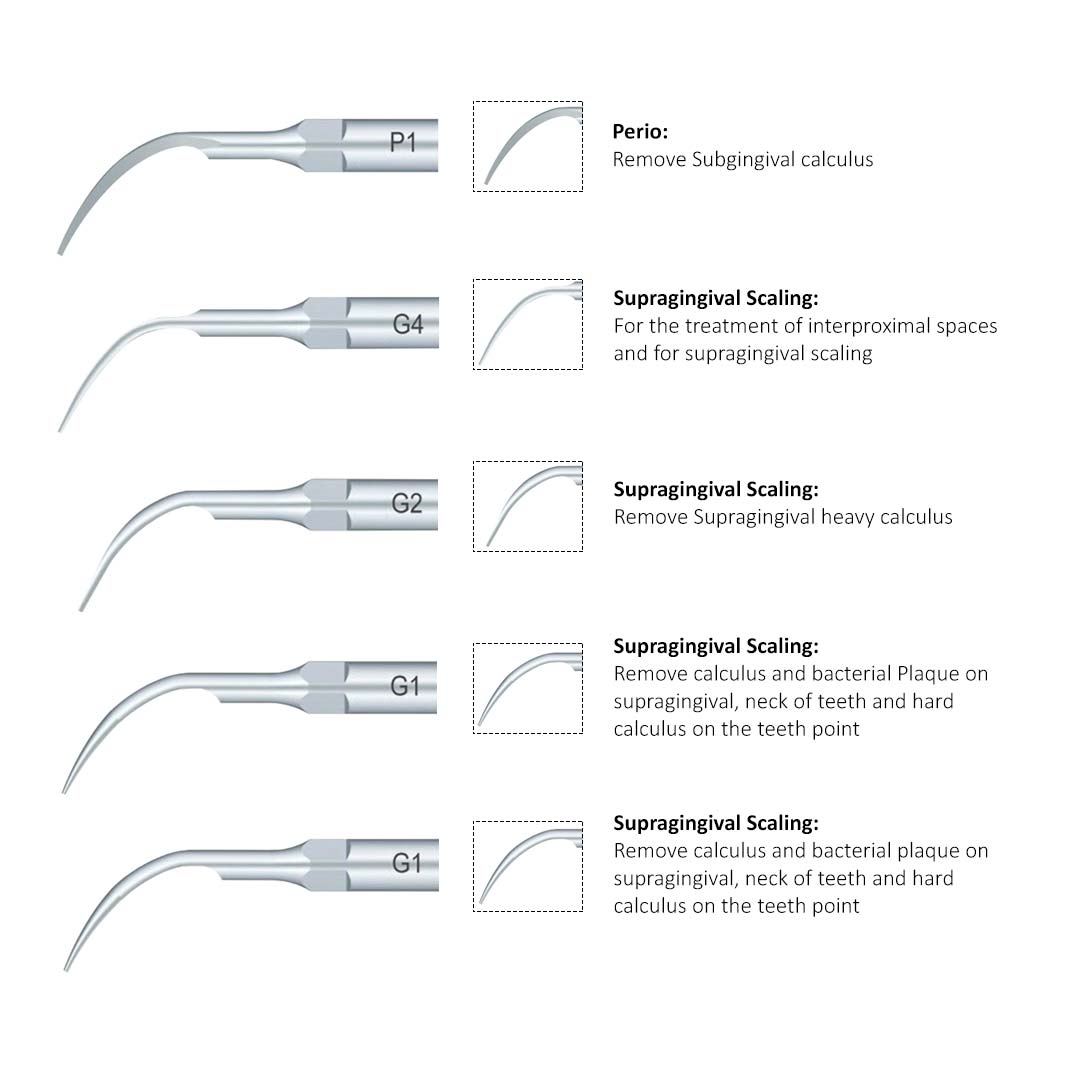 Waldent Max Piezo 2 Ultrasonic Scaler ( 5 Scaler Tips Free )