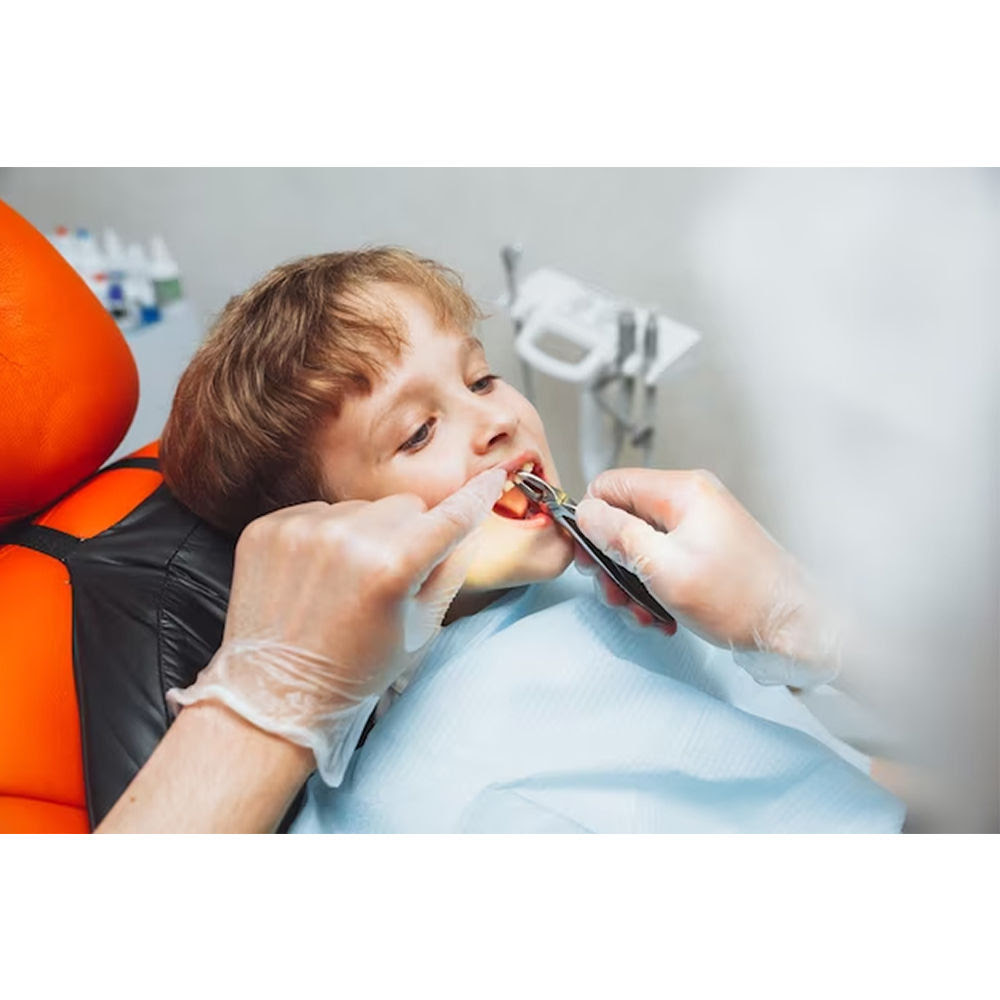 Oracraft Offer Package Premium With Trolly Bag - OPP