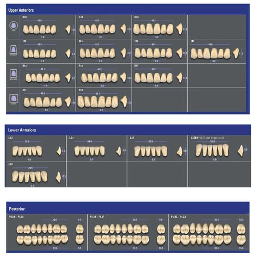 VITA MFT Denture Teeth A1 (Set of 28)