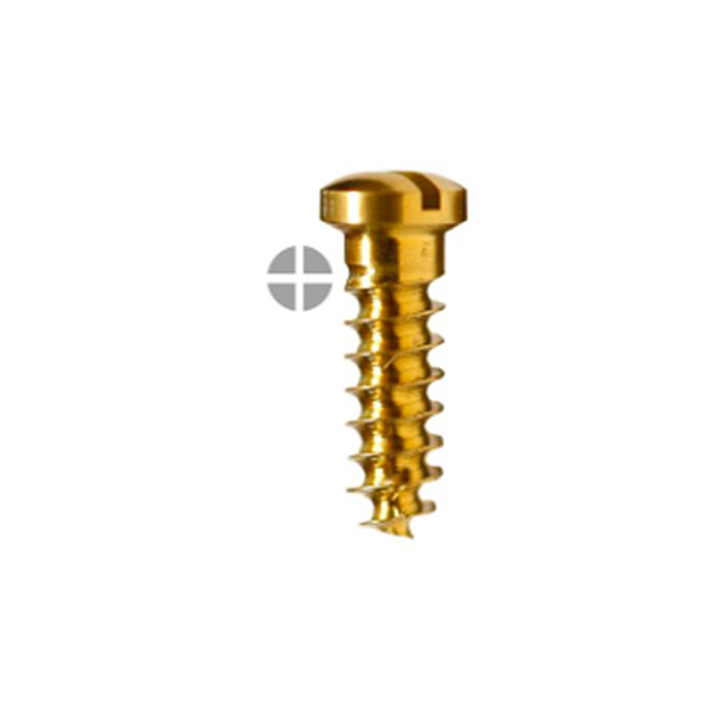 SK Surgicals Titanium Emergency Screws - 2.7mm x 12mm (27012TE)