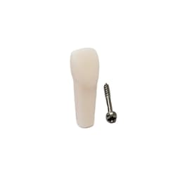 iDENTical Typodonts Upper Right Central Incisor For Nissin Type Jaw Set - Individual - 11