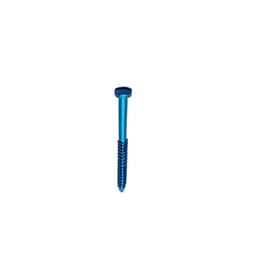 SK Surgicals Titanium Lag Screws - 2.5mm x 22mm (25022TL)