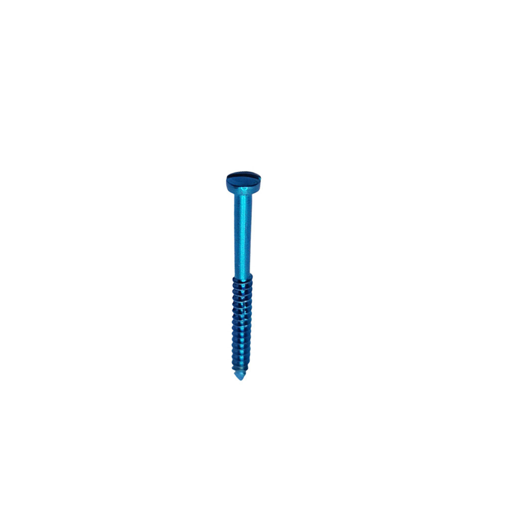 SK Surgicals Titanium Lag Screws - 2.5mm x 20mm (25020TL)