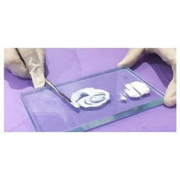 Waldent Conservative Instrument Kit of 20 (K15/1) - 18