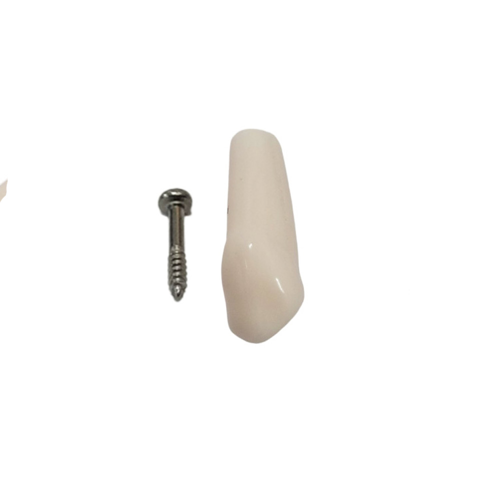 iDENTical Typodonts Upper Right Canine For Nissin Type Jaw Set - Individual - 13