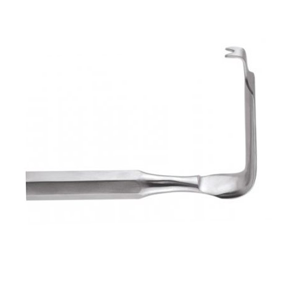 GDC Austin Cheek Retractor With Handle (TRA1)