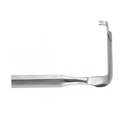 GDC Austin Cheek Retractor With Handle (TRA1) - 2