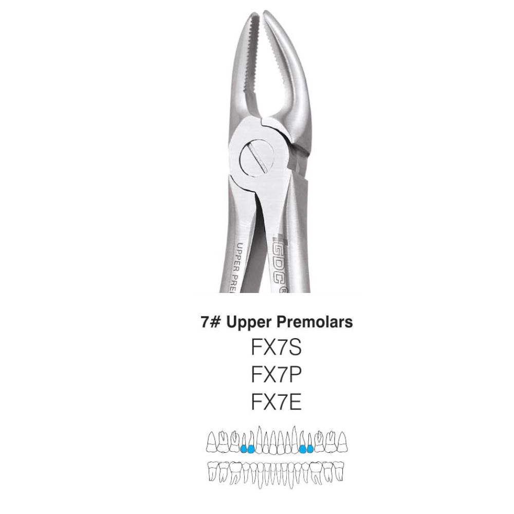GDC Extraction Forcep Upper Premolar - 7 Premium (FX7P)