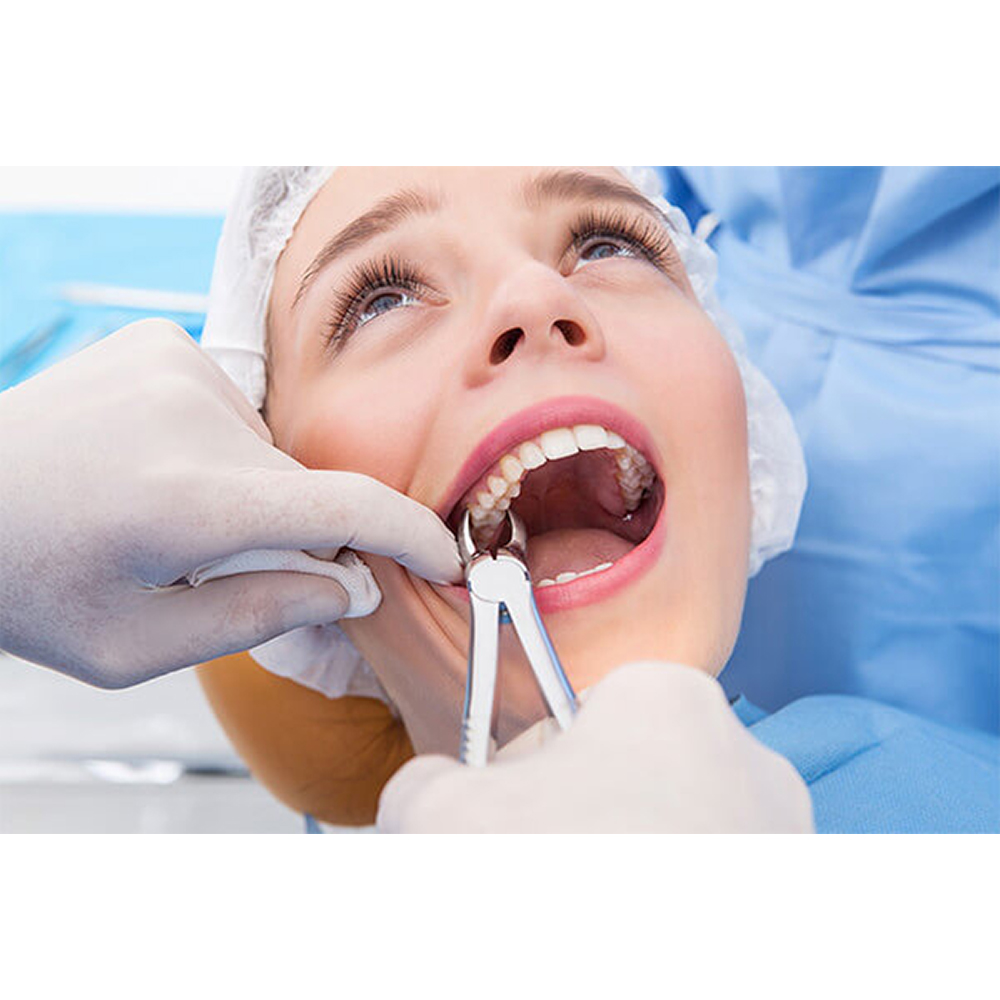 GDC Extraction Forcep Upper Premolar - 7 Premium (FX7P)