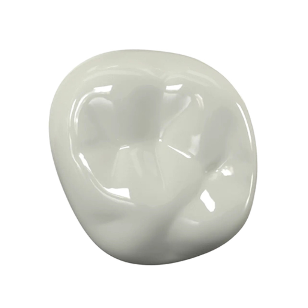 Kids-e-Dental BioFlx Upper Right 2nd Molar Crowns Refills