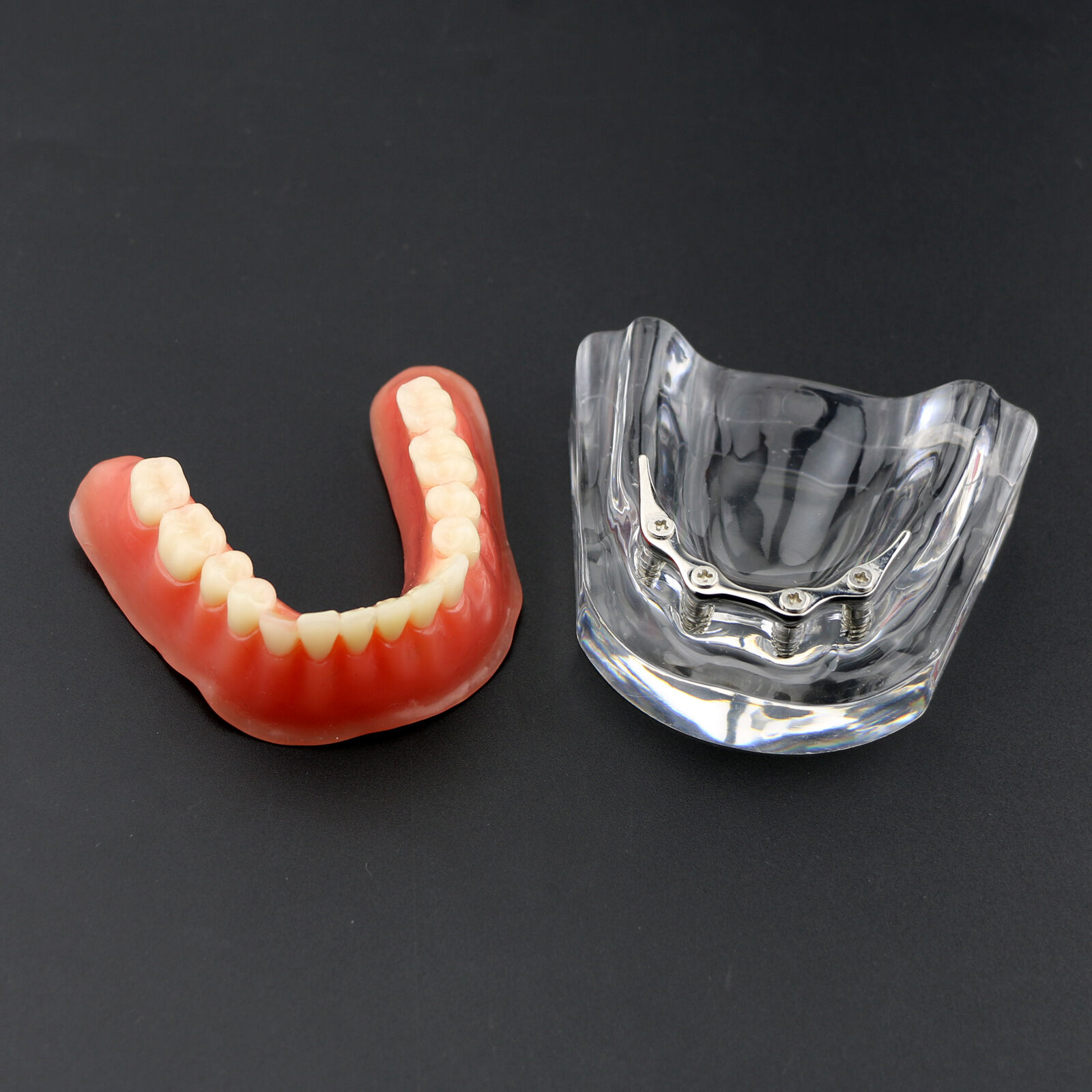 iDENTical Implant Model With Silver Bar M6008