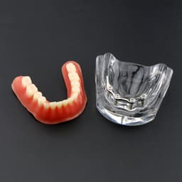 iDENTical Implant Model With Silver Bar M6008 - 6