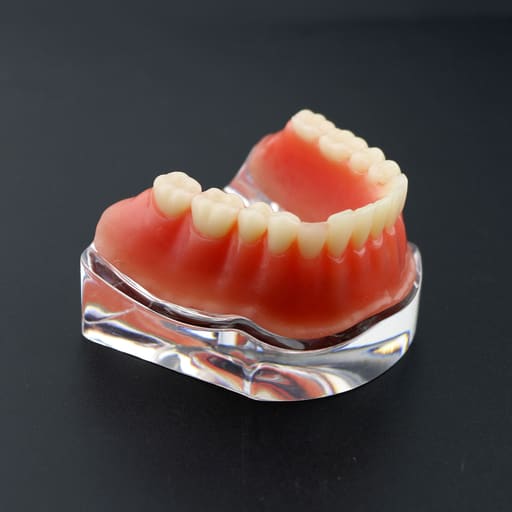 iDENTical Implant Model With Silver Bar M6008