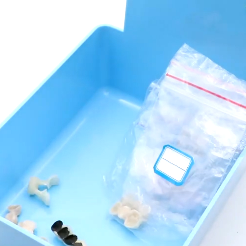 Cotisen Dental Storage Case (Utility Box)