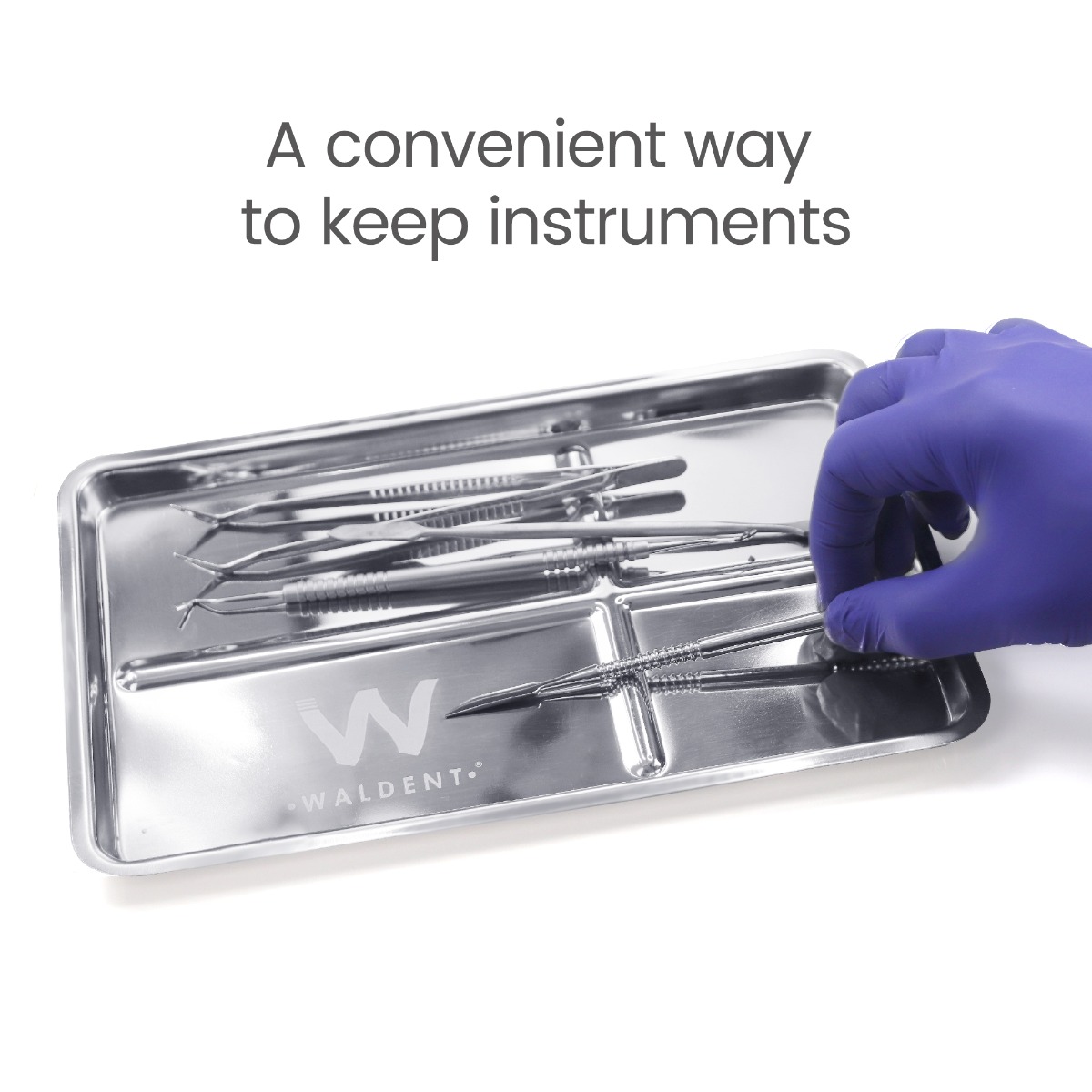 Waldent Stainless Steel Instrument Trays