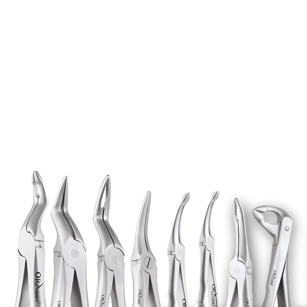 Oracraft Extraction Forceps Secure
