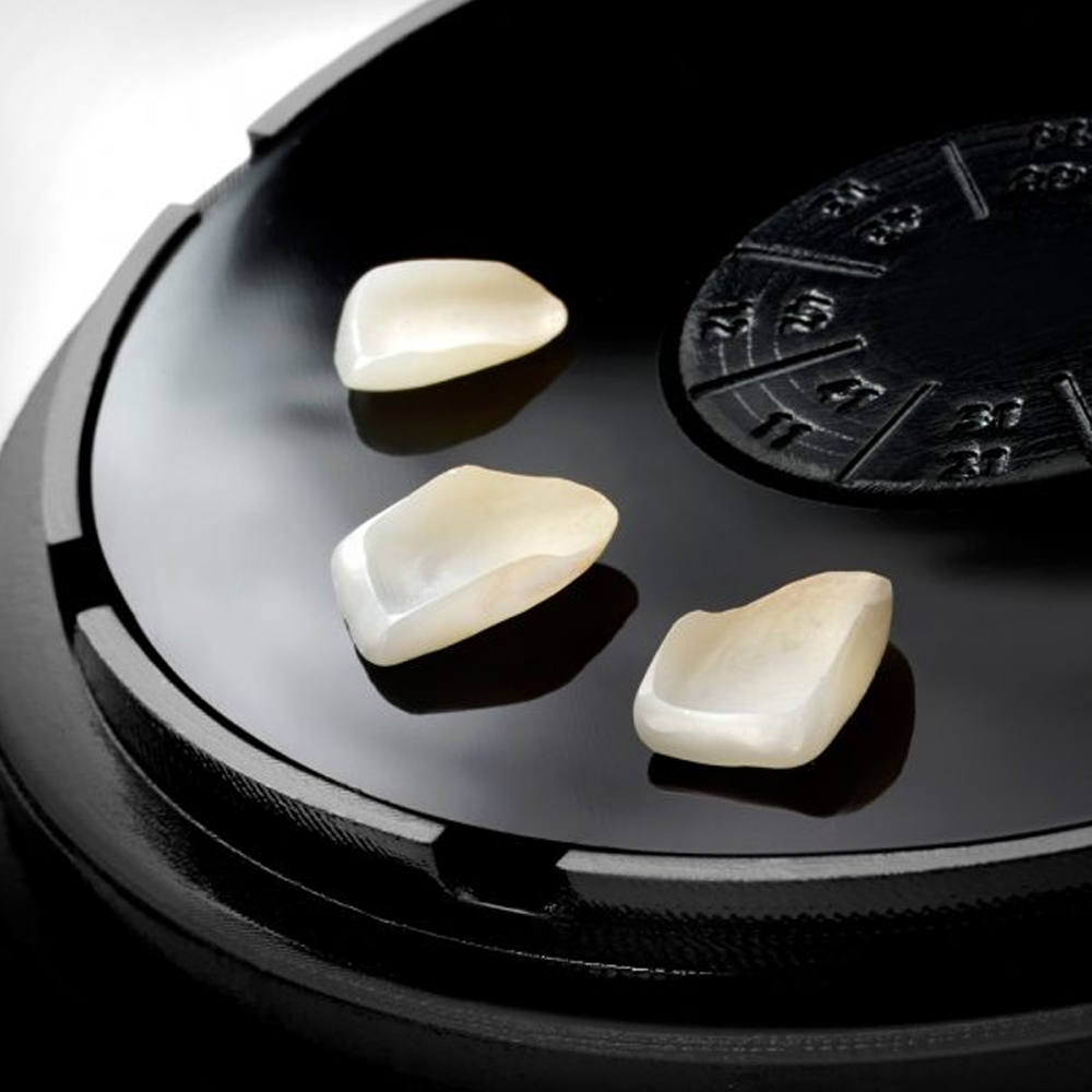 Julldent 171 Veneer Organizing Box