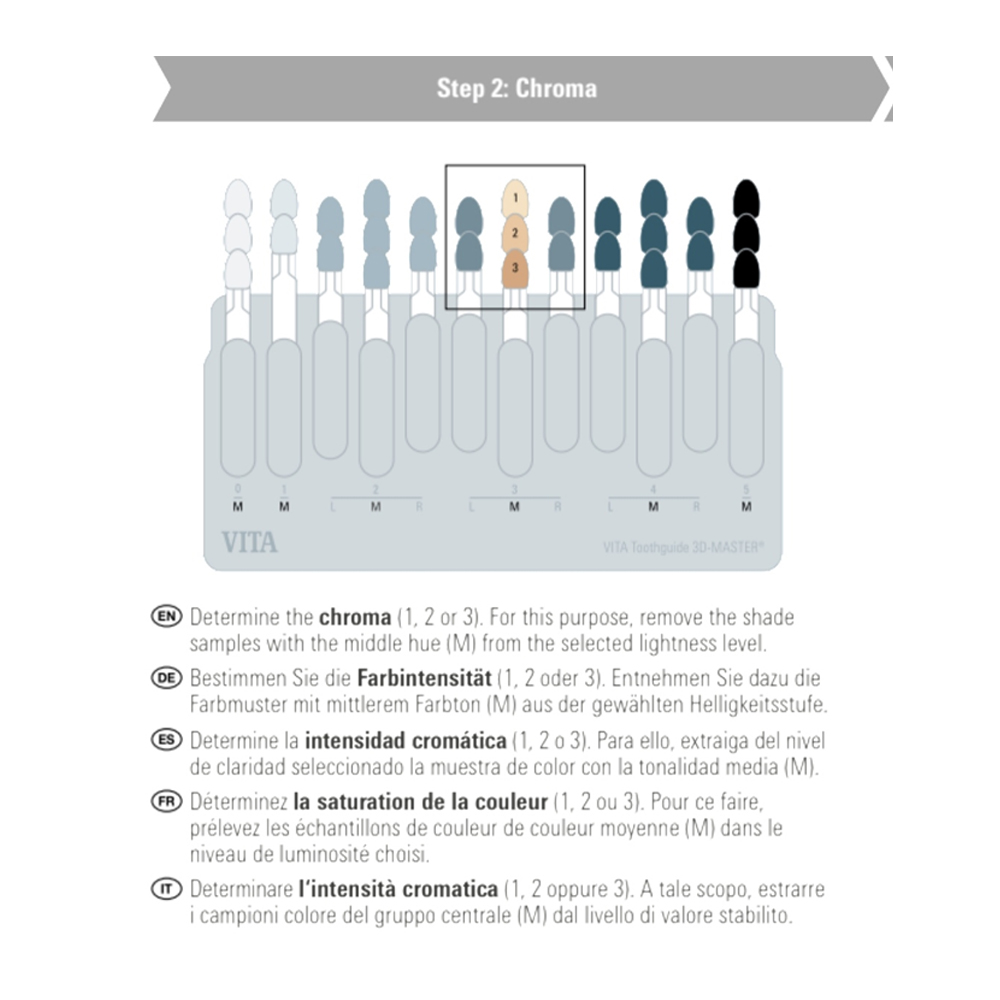 Vita Toothguide 3d-Master With Bleached Shades