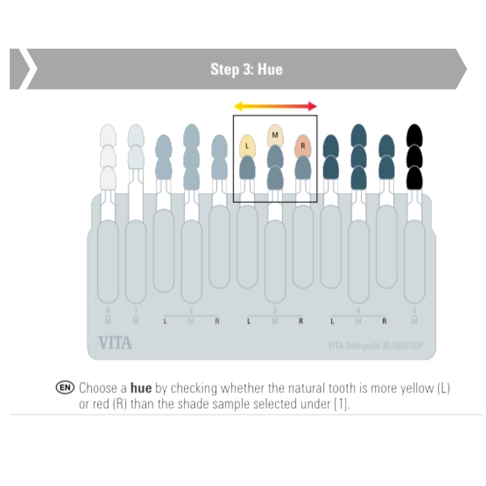Vita Toothguide 3d-Master With Bleached Shades