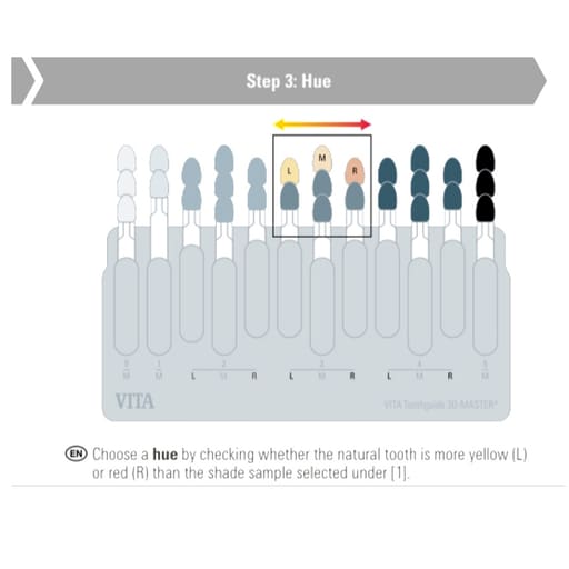 Vita Toothguide 3d-Master With Bleached Shades