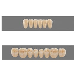 Vita MFT Denture Teeth A3 (Set of 28) - 6