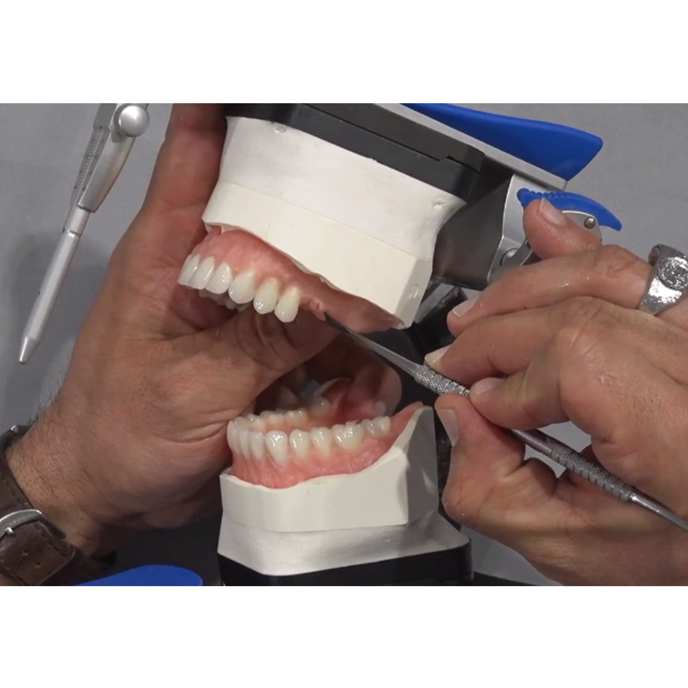 Huge Dental Bluebell Acrylic Denture Teeth A3 (Set of 28)