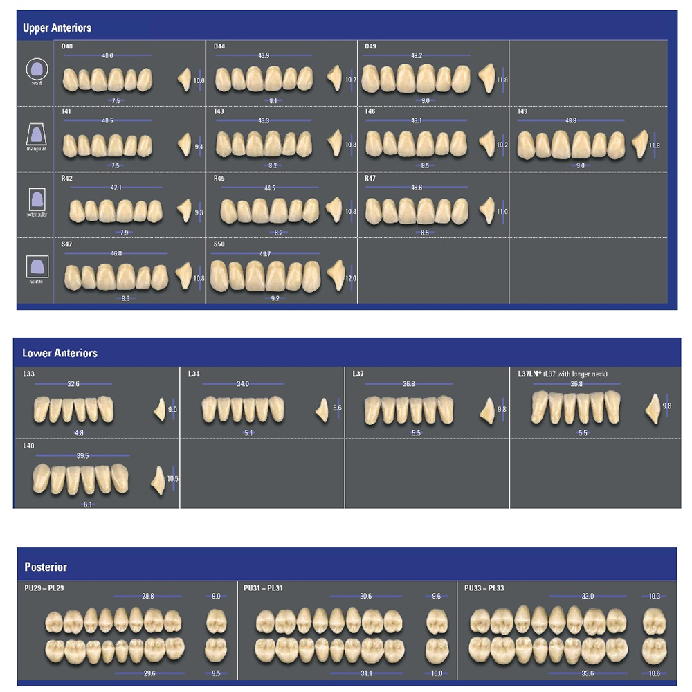 Vita MFT Denture Teeth A3 (Set of 28)