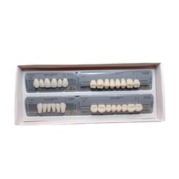 Vita MFT Denture Teeth O40-1M1 (Set of 28)
