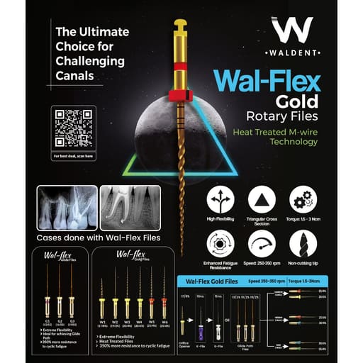 Waldent Wal-flex Gold Rotary Files - Assorted