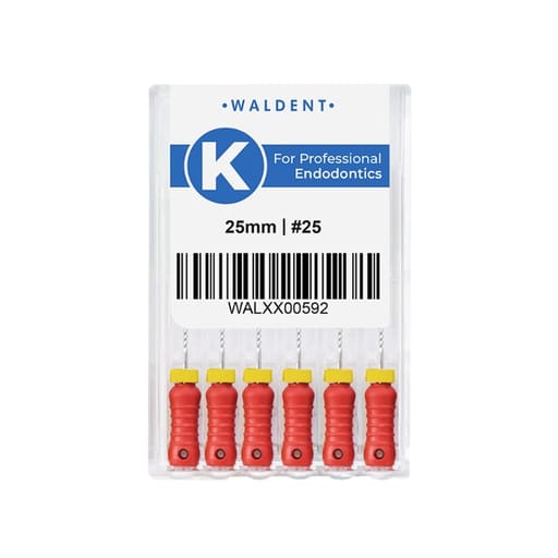 Waldent Professional K-File 25mm