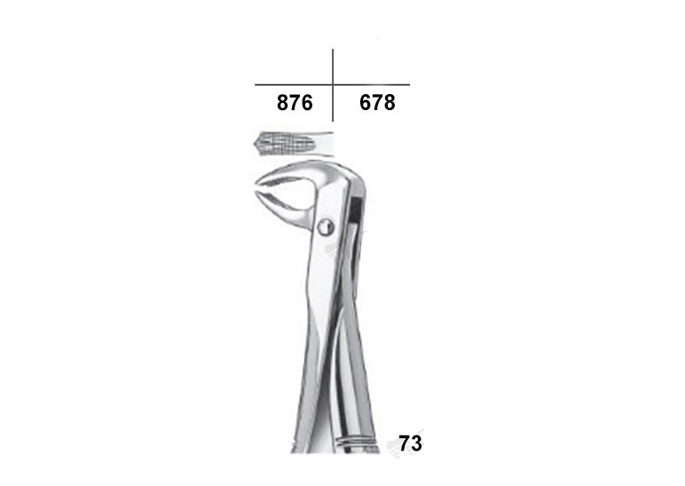 Waldent Tooth Extraction Forceps Lower Molars/Mandibulars, No.73 (1/110)