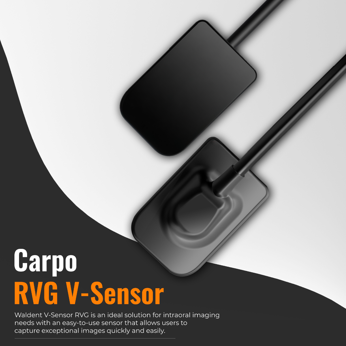 Waldent Carpo RVG V-Sensor Size - 2 