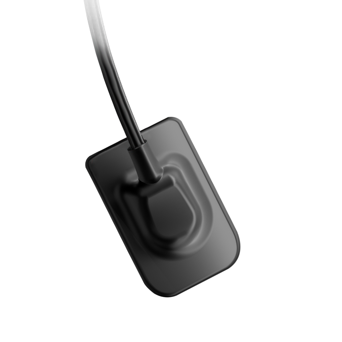 Waldent Carpo RVG V-Sensor Size - 2 