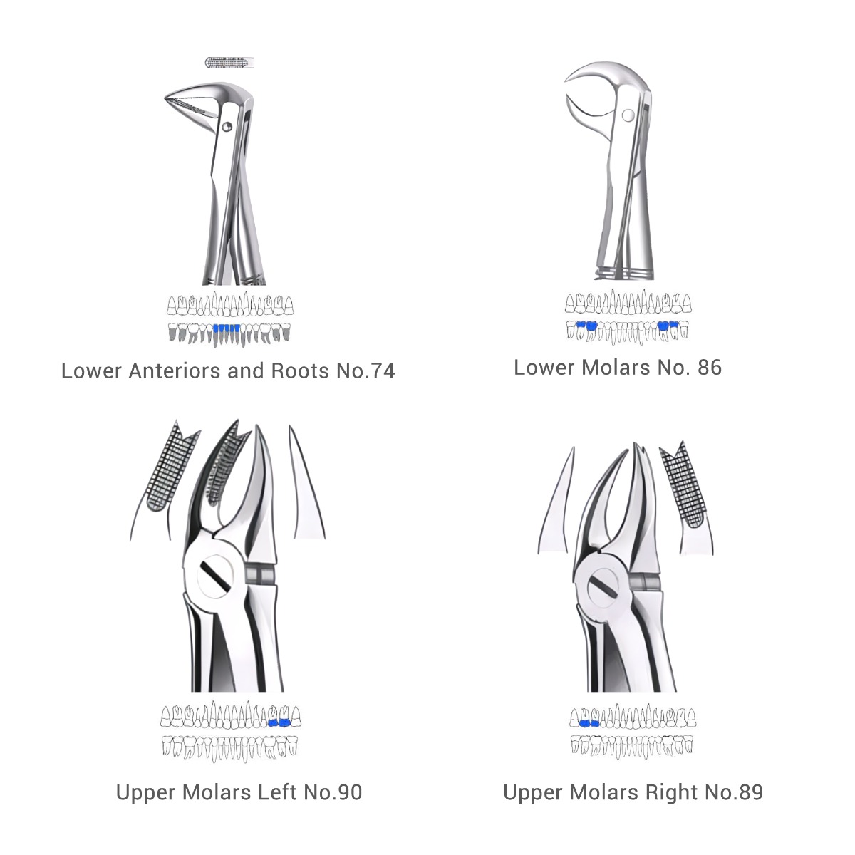 Waldent Extraction Forceps Kit Set of 12 (K1/1)