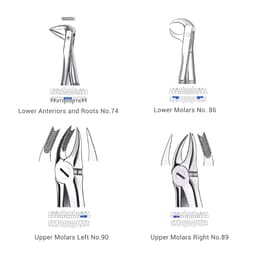 Waldent Extraction Forceps Kit Set of 12 (K1/1)      - 19