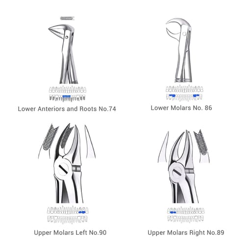 Waldent Extraction Forceps Kit Set of 12 (K1/1)