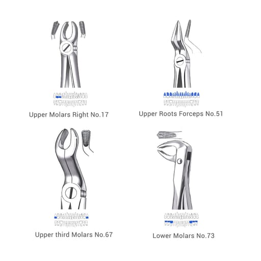 Waldent Extraction Forceps Kit Set of 12 (K1/1)